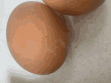 two brown eggs are on a white counter top