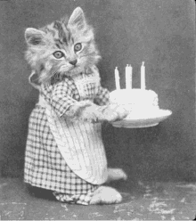 a kitten in an apron is holding a plate of cake with candles on it