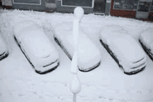 a row of snow covered cars parked in a parking lot .