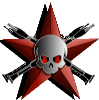 a red star with a skull and two crossed guns on it