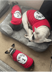 two dogs wearing thing 2 and thing 1 shirts laying on a bed