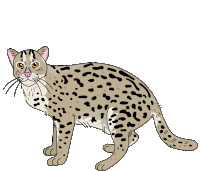 a cartoon drawing of a leopard with black spots on its fur