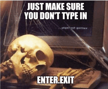 a skeleton is sitting in front of a computer with the words just make sure you don 't type in enter exit