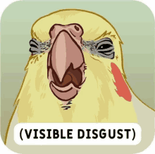 a cartoon drawing of a bird with the words ( visible disgust ) underneath it