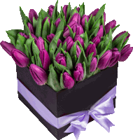 purple flowers in a black box with a purple bow