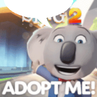 a picture of a koala with the words adopt me written below it