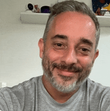 a man with a beard is smiling for the camera while wearing a gray shirt .