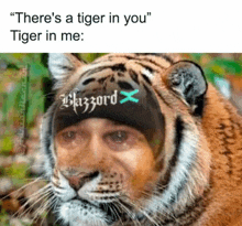 a tiger wearing a hat that says blazord on it