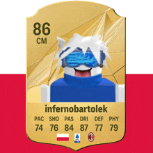 a soccer card with the name infernobartolok