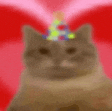 a cat wearing a party hat is sitting in front of a pink background .