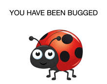 a ladybug with the words " you have been bugged " above it