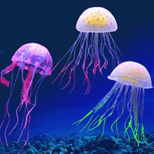 three different colored jellyfish are floating in the ocean