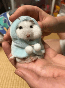 a person is holding a small white hamster in their hand