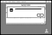 a black and white screenshot of a computer screen showing a system folder and an ok button .