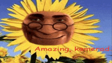 a sunflower with a man 's face on it and glasses on it .