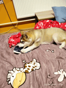 a dog laying on a bed with a giraffe on the blanket