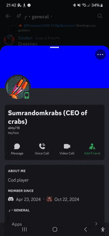 a screenshot of a person 's profile on a discord server