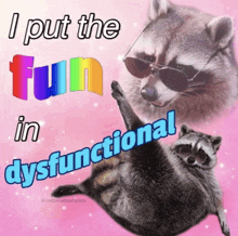 a raccoon wearing sunglasses is laying on its back with the words " i put the fun in dysfunctional " above it