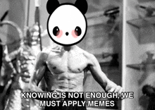 a picture of bruce lee with a panda on his head and the words knowing is not enough we must apply memes