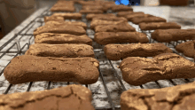 a bunch of dog treats are sitting on a rack