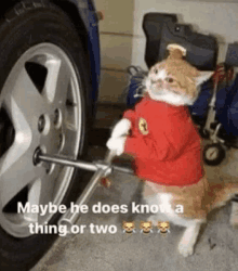 a cat is wearing a red sweater and holding a wrench next to a car tire .