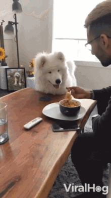 a white dog sitting at a table with a bowl of food and the word viralhog on the bottom right