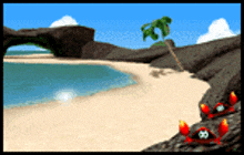 two crabs wearing pirate hats are on a beach with a palm tree in the background