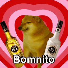 two bottles of 43 next to a dog that says bomnito on it