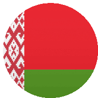 a red and green circle with a white pattern on it