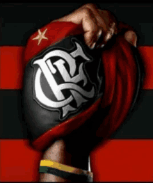 a fist with a flamengo logo on it is being held up in front of a flag .