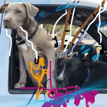 two dogs are sitting in the back of a car with a picsart logo in the corner