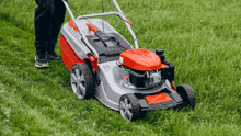 a person is mowing a lush green lawn with a red and silver lawn mower