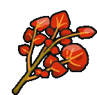 a cartoon illustration of a bunch of red leaves on a green stem .