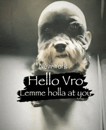 a picture of a dog with the words new york hello vro lemme holla at you on it