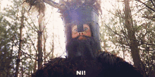 a man with a beard wearing a helmet with the word ni on it