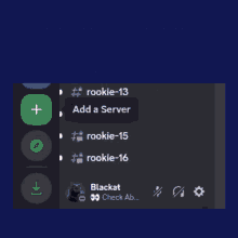 a screenshot showing how to customize a server