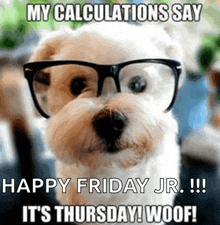 a dog wearing glasses with the caption " my calculations say happy friday jr "