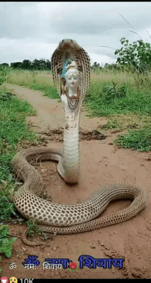 a large snake with a statue of shiva on its head