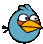 a blue angry bird with a yellow beak is looking at the camera on a white background .