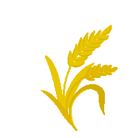 a cartoon drawing of a wheat plant with leaves on a white background