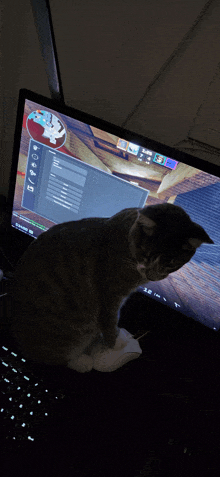 a cat is sitting in front of a computer screen with a screenshot of a video game on it