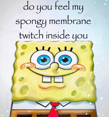 a cartoon of spongebob with the words do you feel my spongy membrane twitch inside you