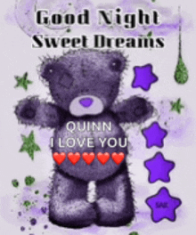 a purple teddy bear with the words " good night sweet dreams quinn i love you " on it