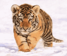 a painting of a tiger cub walking through the snow by david smith