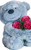 a grey teddy bear is holding pink roses in its paws