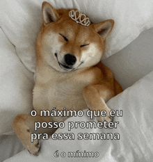 a dog wearing a tiara is laying on a bed with the caption o maximo que eu posso prometer pra essa semana