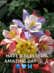 a bunch of colorful flowers with the words have a blessed and amazing day