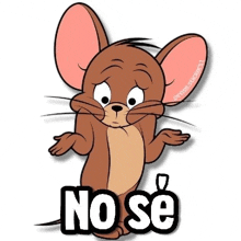 jerry from tom and jerry says no se