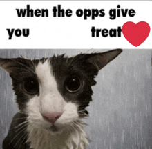 a black and white cat with the words " when the opps give you treat " next to it