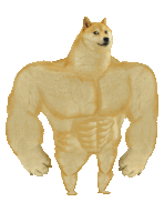 a doge with a very muscular body and a white background